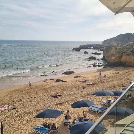 Oura Paradise *